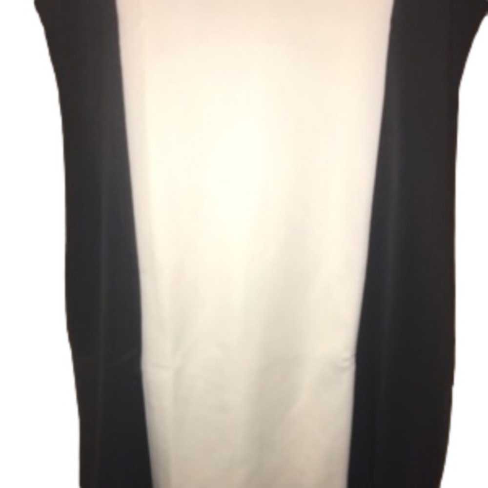 Beyond This Plane W&B Dress - Picture 2 of 7